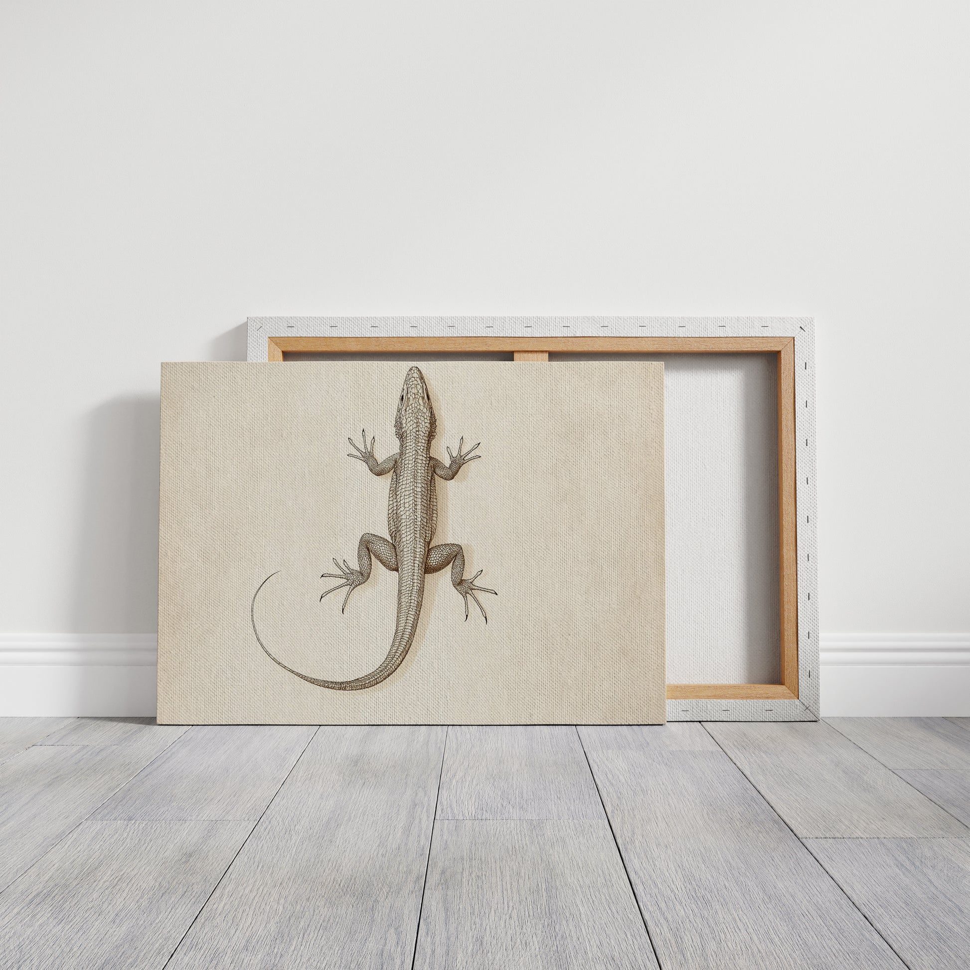 Gallery Canvas image 1