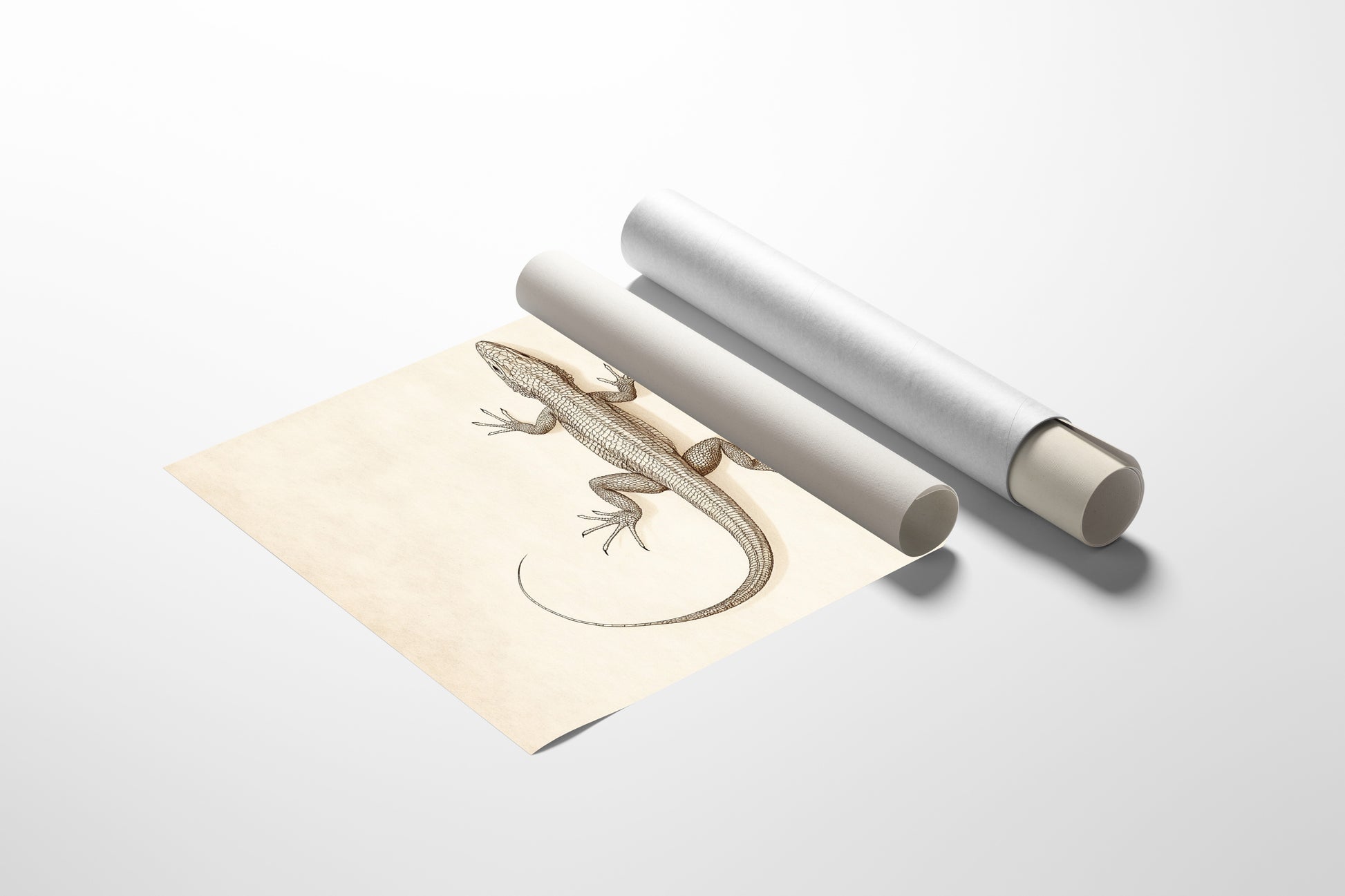 Matte Poster image 1