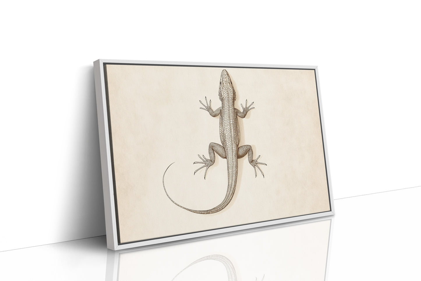 White Framed Canvas image 1